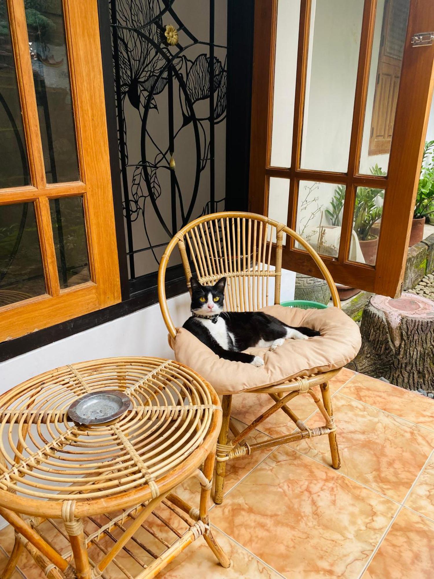 A Pousada Zzz Banyuwangi  Exterior foto